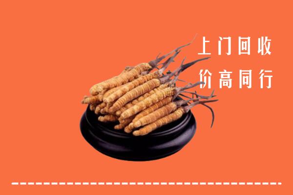 收购行情：中山大涌镇冬虫夏草回收多少钱每克