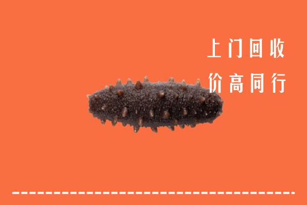 收购行情：中山大涌镇回收海参