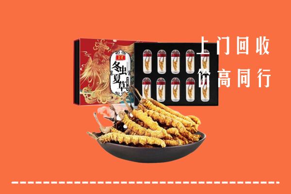 中山大涌镇回收虫草